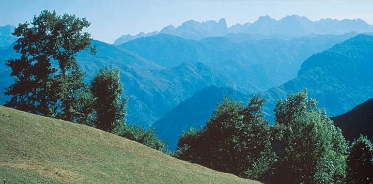 Vía libre a la ampliación del #Parque de #Picos sobre las #Peñamellera