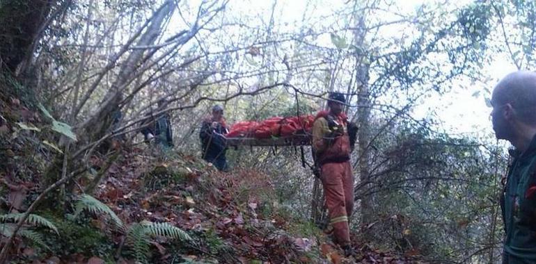 Muere un hombre al despeñarse durante una cacería en Amieva