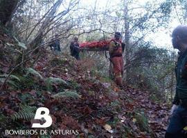 Muere un hombre al despeñarse durante una cacería en Amieva