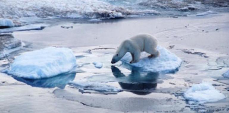 Aumenta la preocupación por el destino de los #icebergs #antárticos