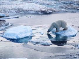 Aumenta la preocupación por el destino de los #icebergs #antárticos