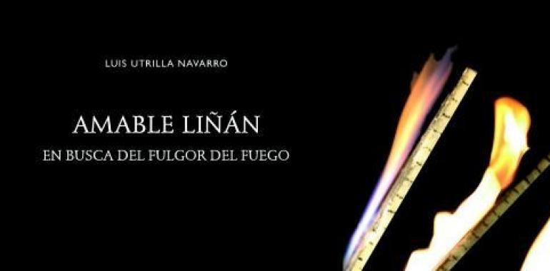 Amable Liñán, en busca del fulgor del fuego