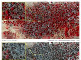 Imágenes de satélite revelan la barbarie del terrorismo religioso de Boko Haram