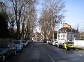 La Coordinadora Ecologista denuncia el arboricidio de los chopos en Gijón