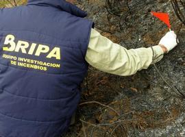 La olvidada guarderia asturiana del medio natural, eficaz en la lucha contra los incendios