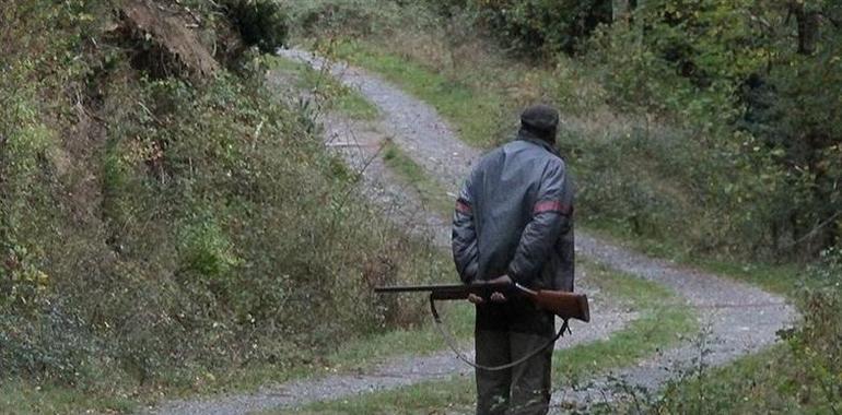 Asturias suspende hasta el domingo la caza menor de aves debido al temporal