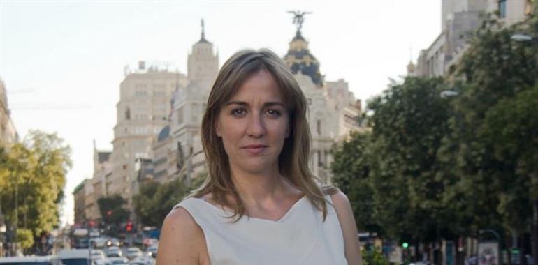 IU de Asturias confía en que la salida de Tania Sánchez no tenga consecuencias para la organización