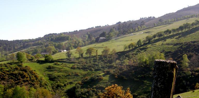 La Coordinadora Ecologista rechaza un proyecto minero en los concejos de El Franco y Boal