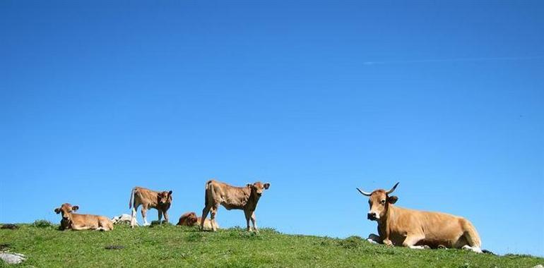 Foro critica los "despropósitos" del Gobierno de Asturias en materia de espacios naturales