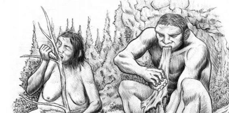 Los neandertales de El Sidrón ya dividían el trabajo por sexos