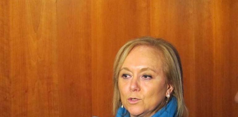 Mercedes Fernández riñe al PSOE por reclamar a Rajoy que pague de una vez los fondos mineros