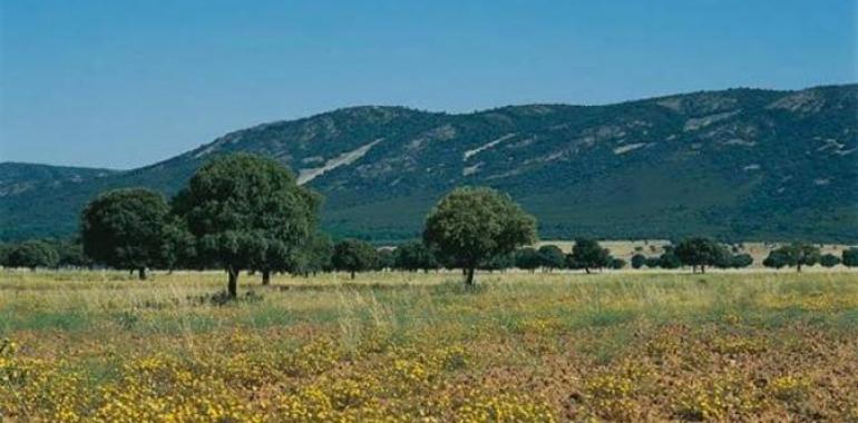 5 ONG ecologistas piden la retirada del anteproyecto de ley de caza de Castilla-La Mancha