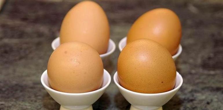 Los consumidores asturianos desconocen el código de los huevos