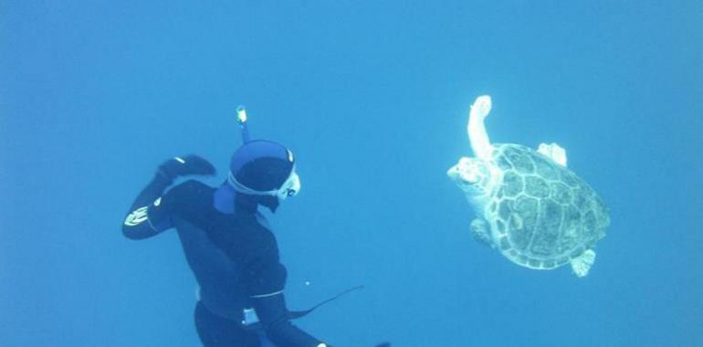 Proyecto para la detección acústica de tortugas marinas