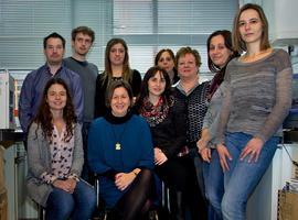 Investigadores de #UniOvi diseñan un test para diagnosticar enfermedades neurológicas y tumorales