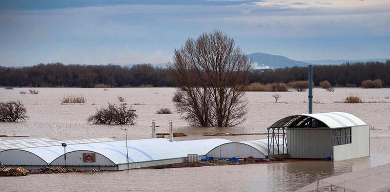 Navarra exigirá al Estado que la CHE asuma la limpieza del cauce del Ebro 