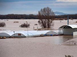 Navarra exigirá al Estado que la CHE asuma la limpieza del cauce del Ebro 