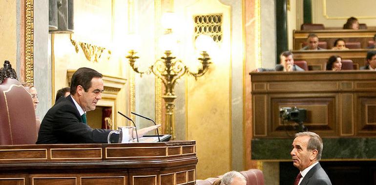 El Pleno del Congreso aprueba la toma en consideración de la reforma constitucional