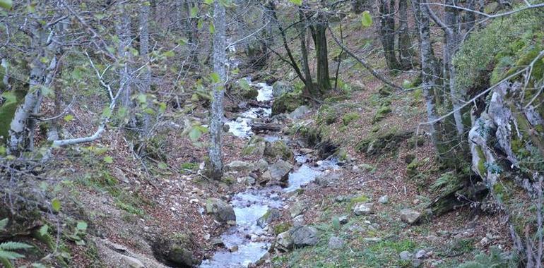 Ecologistas denuncian la investigación minera en una zona de Quirós, dentro del Parque Natural