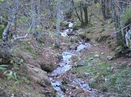 Ecologistas denuncian la investigación minera en una zona de Quirós, dentro del Parque Natural