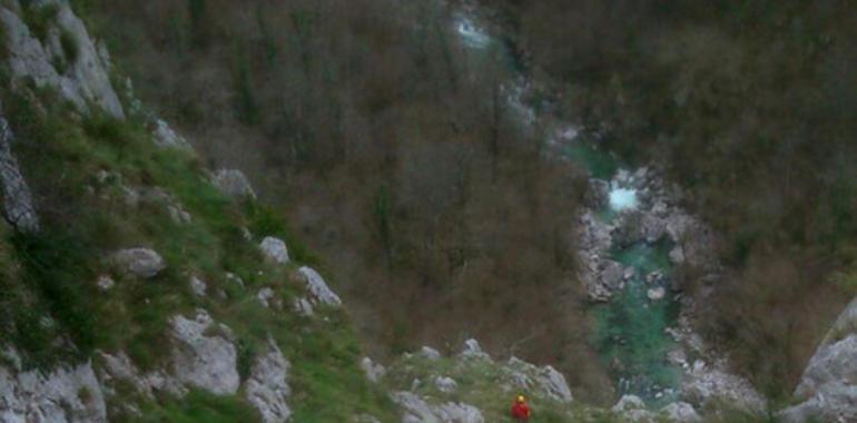 Un ganadero muere despeñado en Panales, Cangas de Onís