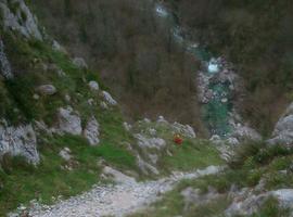 Un ganadero muere despeñado en Panales, Cangas de Onís