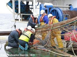 Oceanografía traza el atlas del litoral asturiano y evaluará el estado de sardinas y xardas