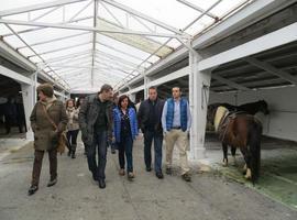 Agroganadería presenta en la Feria de Tineo una guía que explica la nueva PAC