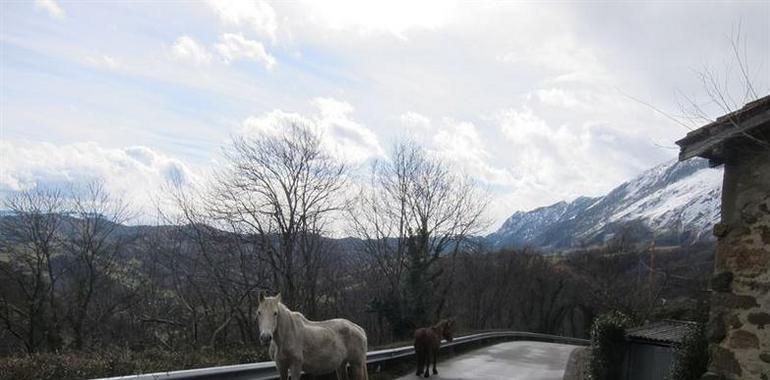 La Semana Santa tiene una ocupación cercana al 70% en el turismo rural asturiano