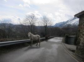 La Semana Santa tiene una ocupación cercana al 70% en el turismo rural asturiano