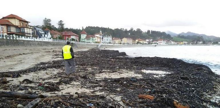 Retiradas 900 toneladas de residuos de las playas asturianas ante la Semana Santa 