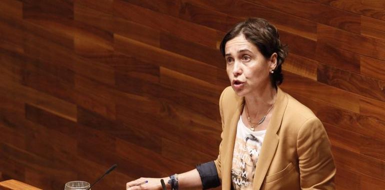 VOx pide la inhabilitación de Dolores Carcedo por el aumento de la deuda pública