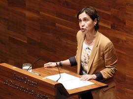 VOx pide la inhabilitación de Dolores Carcedo por el aumento de la deuda pública