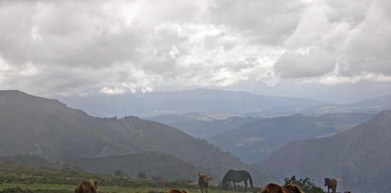 Ecologistas denuncian la prisa del gobierno asturiano por autorizar proyectos mineros