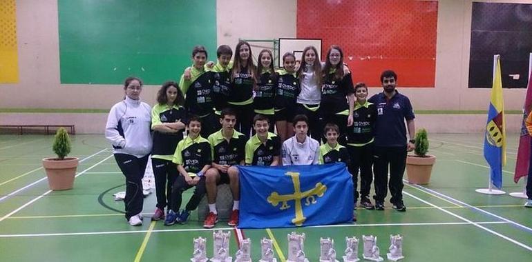 #Badminton: Lluvia de medallas en el Master de Medina del Campo