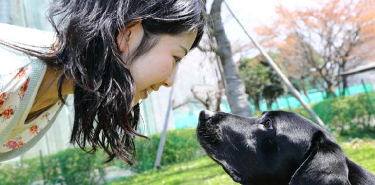 La mirada entre perro y dueño aviva la hormona del amor