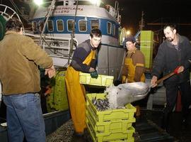 10 empresas asturianas muestran sus productos del mar en la Seafood Expo Global