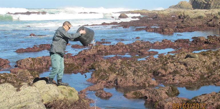 La campaña de Seprona contra la pesca furtiva se salda con más de 80 denuncias