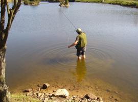 El PP promete ampliar la campaña de pesca del salmón y la trucha en Asturias