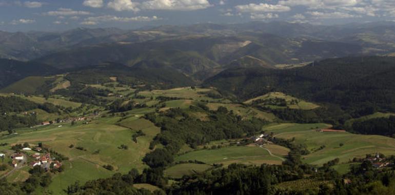 Cafento lanza 3 millones de sobres de azúcar a promover Tineo por España