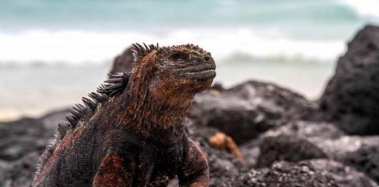 Conferencia Internacional de Desarrollo Sostenible en Islas Galápagos