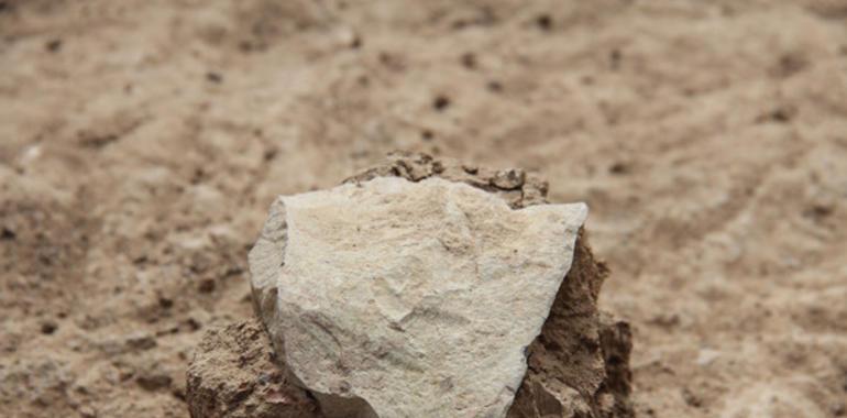 ¿Quién hizo herramientas de piedra antes que el Hombre