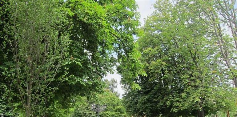 Miles de romeros llenan los parques de Oviedo por La Balesquida