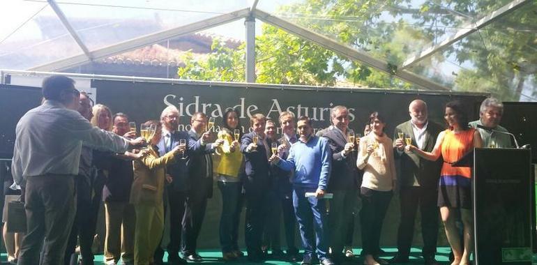 La sidra DOP Asturias goza de buena cosecha y unidad sectorial