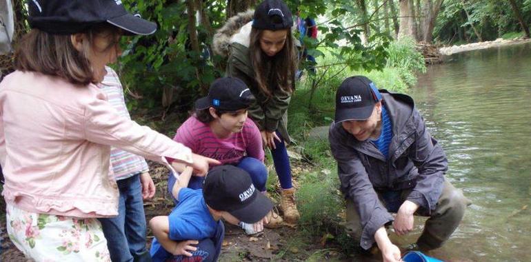 Kinbauri realiza un año más su tradicional suelta de 20.000 alevines de trucha común al río Pigüeña