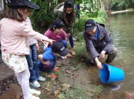 Kinbauri realiza un año más su tradicional suelta de 20.000 alevines de trucha común al río Pigüeña