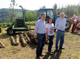 Álvarez destaca en Asturforesta la capacidad del sector para el Medio rural