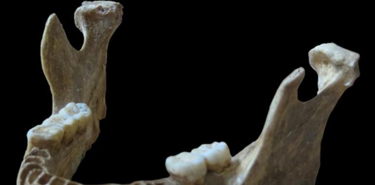 Los genes de un humano moderno confirman ancestros neandertales