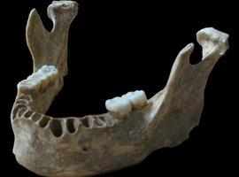 Los genes de un humano moderno confirman ancestros neandertales