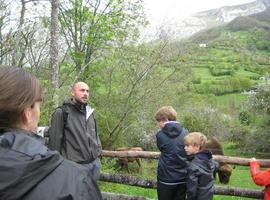 Itinerario de verano en la naturaleza en el Parque de la Prehistoria de Teverga